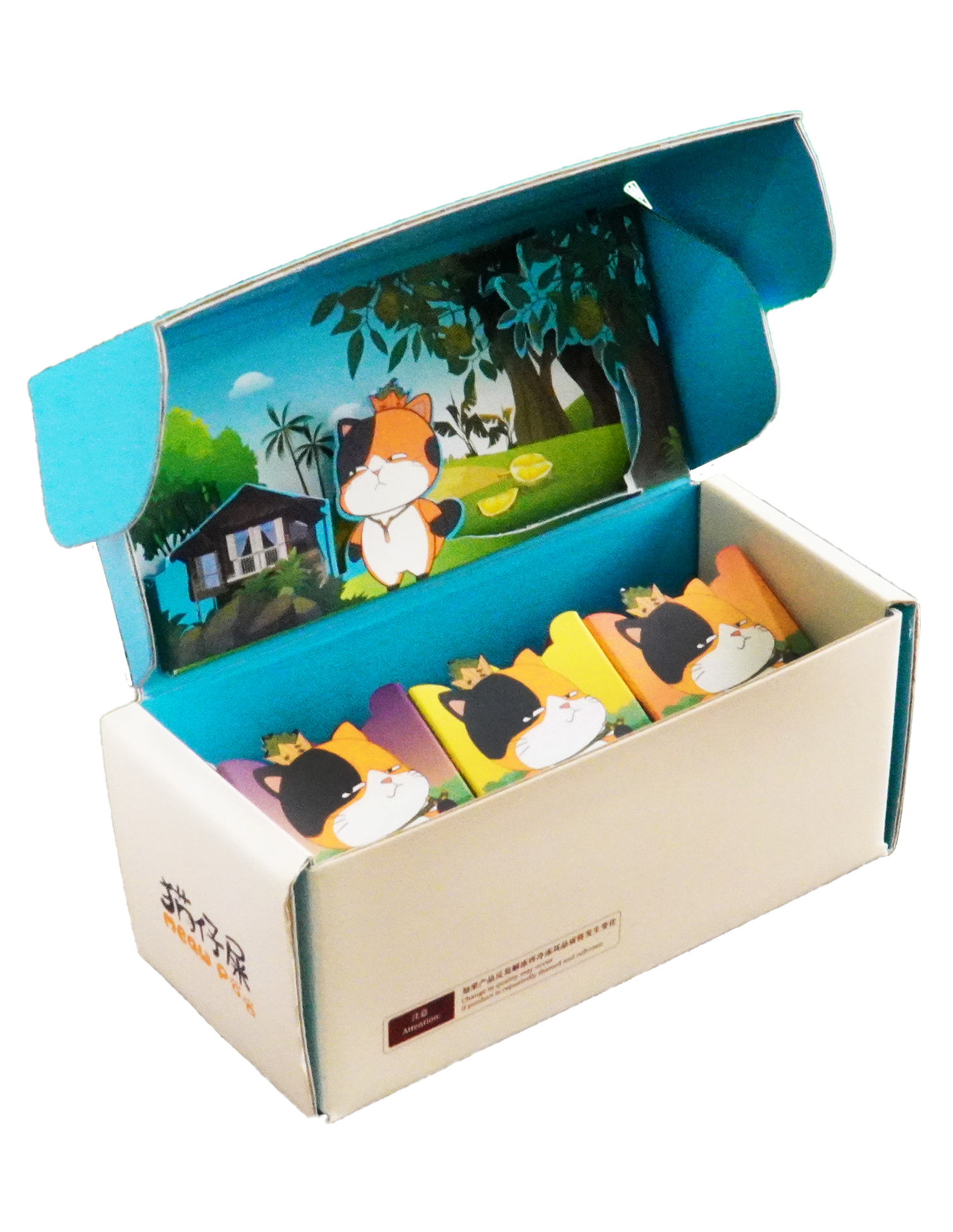E-Flute Packaging - Meaw Poo Gift box